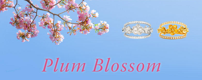 Plum Blossom